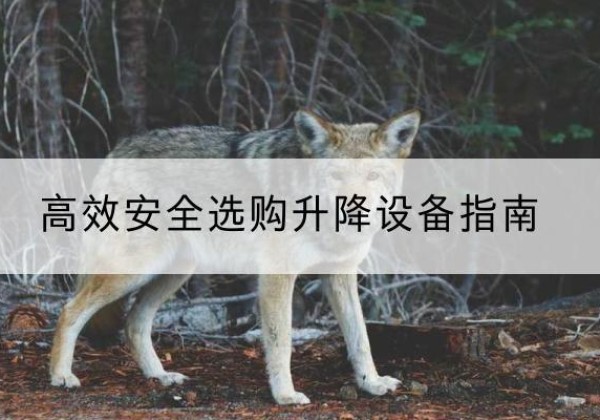 绥德升降货梯厂家推荐-*安全选购升降设备指南