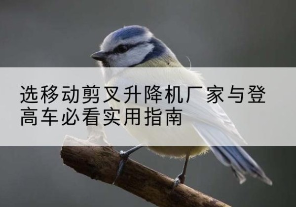 绥德电动升降机厂家-选移动剪叉升降机厂家与登高车必看实用指南