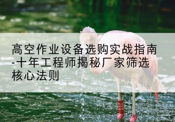 绥德剪叉式升降机厂家-高空作业设备选购实战指南-十年工程师揭秘厂家筛选核心法则